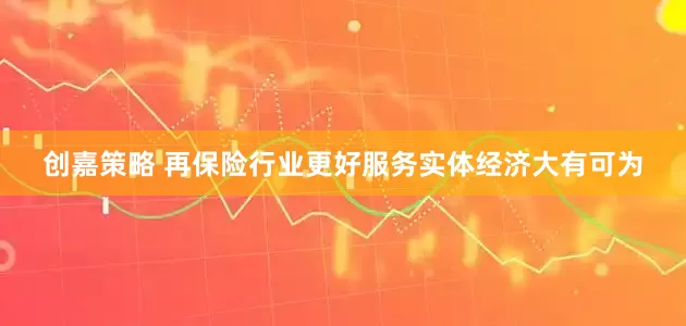 创嘉策略 再保险行业更好服务实体经济大有可为