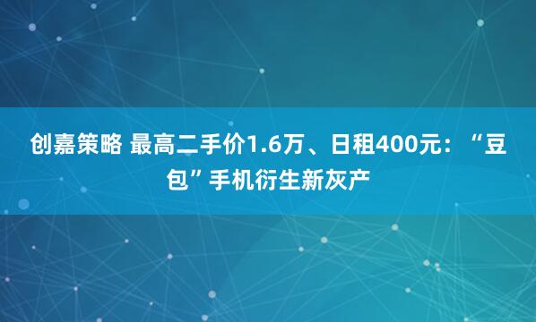创嘉策略 最高二手价1.6万、日租400元：“豆包”手机衍生新灰产
